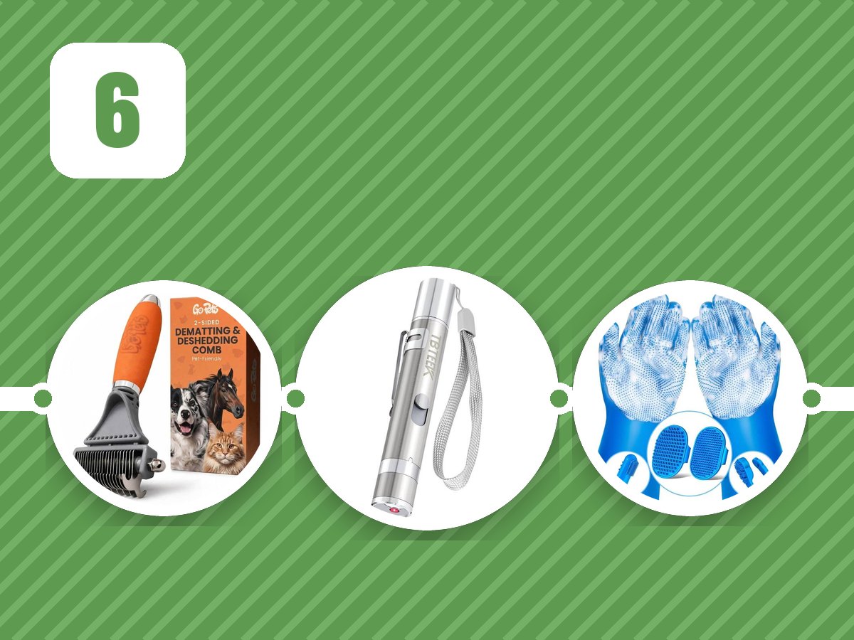 Pet Line: Dematting Comb & Deshedding Brush and more